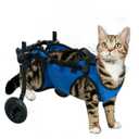 Pet Wheelchair for Leg Support Helps Senior Wheelchair for Back Legs Adjustable Pet Car Assist a paralyzed pet get Back on its feet, Support Leg Brace and Hip, Blue (Small)