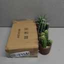 3-Pack Artificial Succulent Plants in Vintage Plastic Pots - Fake Waterproof Succulents Decor for Home, Office, Desk, Shelf - Low Maintenance Indoor Greenery for Bathroom, Living Room, Table Decor