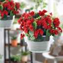 Miuwauer 20 Pack of 8-inch Hanging Basket Water Catcher Plastic Hanging Plant Drip Pan Tray Plastic Saucers Liners for Indoor Outdoor Hanging Plants Baskets Flower Pots - Clear, Round