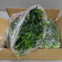 Dolicer 4Pcs Artificial Monstera Leaf Vines, 5.6Ft Fake Hanging Greenery Plants Tropical Palm Leaves Ivy Vine Monstera Garland for Home Garden Porch Patio Hawaiian Party Indoor Outdoor Dcor