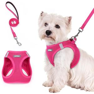 rabbitgoo Dog Harness Small Sized and Leash Set, Step in Soft Light Puppy Vest, Breathable Mesh Pet Harness, Reflective for Safe Easy Walking, Rose Red S (S (Chest: 15.1 - 16.5"))