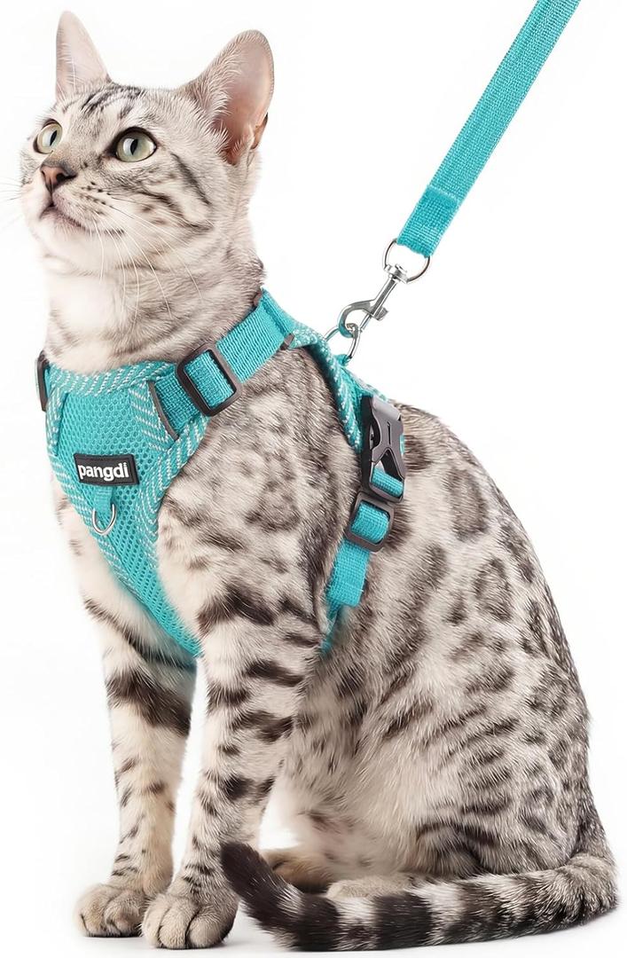 Cat Harness and Leash Escape Proof Extra Large Kitten Harness Maine Coon Cat Vest for Walking Travel, Turquoise, XL