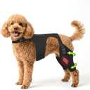 Dog Knee Braces for Back Leg, Adjustable Leg Brace with 2 Stabilizers, Hip Support to Reduces Pain, Ligament Injuries, ACL CCL & Luxating Patella for Small Medium Large Dogs, M