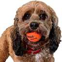 Small Tennis Balls for Dogs (1.9") - 12 Orange Durable and Easy to Find Mini Tennis Balls for Small Dogs and Puppies. Includes Carrying Bag.