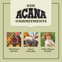 ACANA Dry Cat Food for Indoor Cats Indoor Entre Chicken Turkey Whole Herring and Rabbit 4lb Bag (EXP 02/28/26)