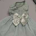 ASENKU Dog Dress Pet Wedding Dress Princess Lace Puppy Birthday Party Outfit Formal Apparel Girl for Small Medium Dogs Cats (Small, Green)