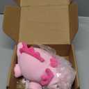 SQEQE Weighted Axolotl Plush Toy, Pink Axolotl Stuffed Animals Cute Plush Pillow, Cute Weighted Stuffed Animals Gifts for Girls & Boys Pink 9.8 Inch, 0.8 Lbs