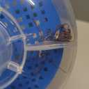 W560 Inline Pool Leaf Canister/Leaf Catcher (with Mesh Basket and Skimmer Socks) Compatible with Hayward Pentair Suction Manual & Automatic Pool Cleaners