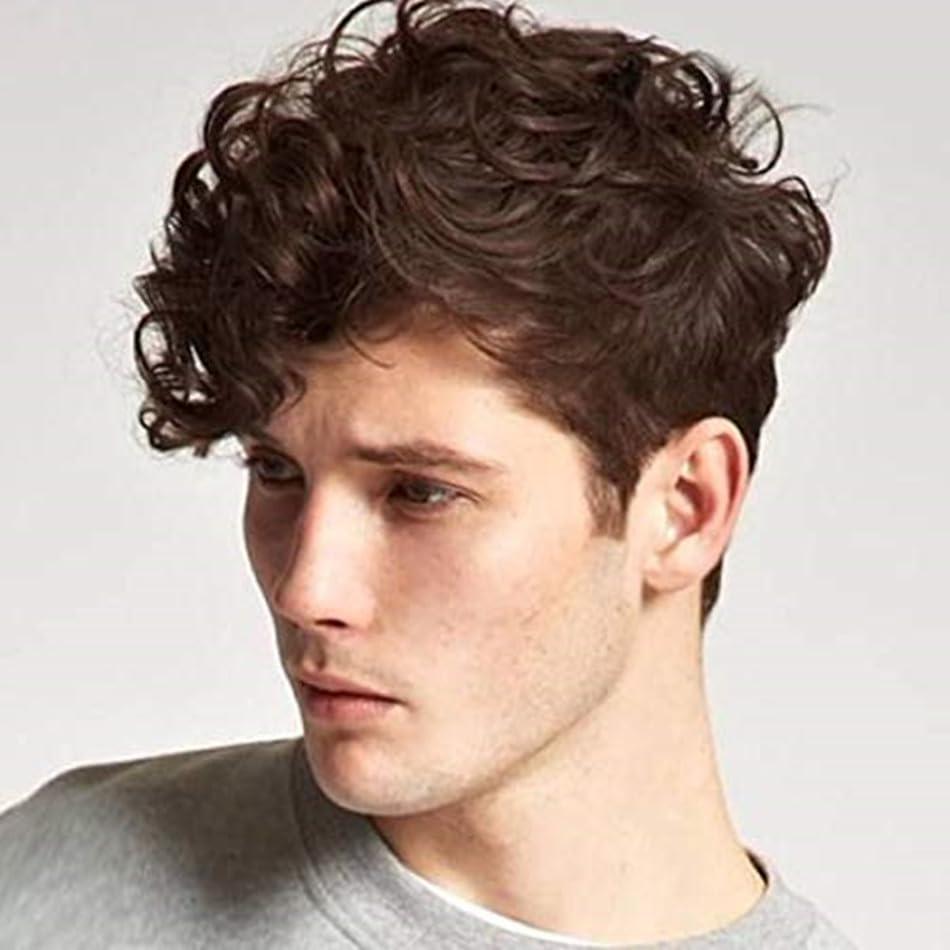 Kaneles Mens Brown Wig Short Curly Fluffy Synthetic Halloween Cosplay Hair Wig for Male Guy (Brown)