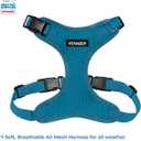 Best Pet Supplies Voyager Step-in Lock Pet Harness w Reflective Pet Leash Combo Set with Neoprene Handle 5ft - Supports Small, Medium and Large Breed Puppies/Cats - Turquoise Set, XS