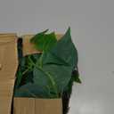 Artificial Pothos Plant with Plastic Pot - Fake Indoor Faux Plant for Home Office Decor 1 Pack