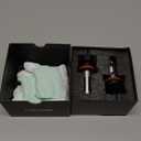 SEALIGHT H1 1 LED Bulbs for H9 H8 Light Bulbs, SuperBright 6000K White, 1:1 Size Plug-N-Play Design, Canbus Eror Free AntiHyper Flashing, Pack of 2