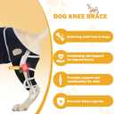 Dog Knee Brace for Torn ACL Hind Leg, Adjustable Dog Leg Braces Rear Leg or Front Legs with Cruciate Ligament Injuries, Warm Joint Pain Relief CCL Brace for Pets Knee Support Universal Four Legs, L