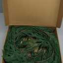 Fovths 2 Pack 9 Feet Christmas Norfolk Garlands, Winter Pine Garland Ornament with Light String, Green Artificial Greenery Garland for Table Mantle Wall Indoor Outdoor Christmas Decor