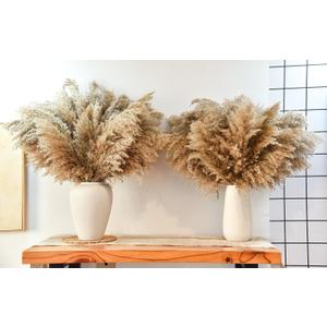 44pcs Pampas Grass Decor-Natural Dried Pampas Grass,Fluffy Brown Pompas Grass,Short Fluffy Pampas Grass Bulk for Small Boho vases,Wedding Flower,Boho Home Decor,Living Room Table Decor(17inch)