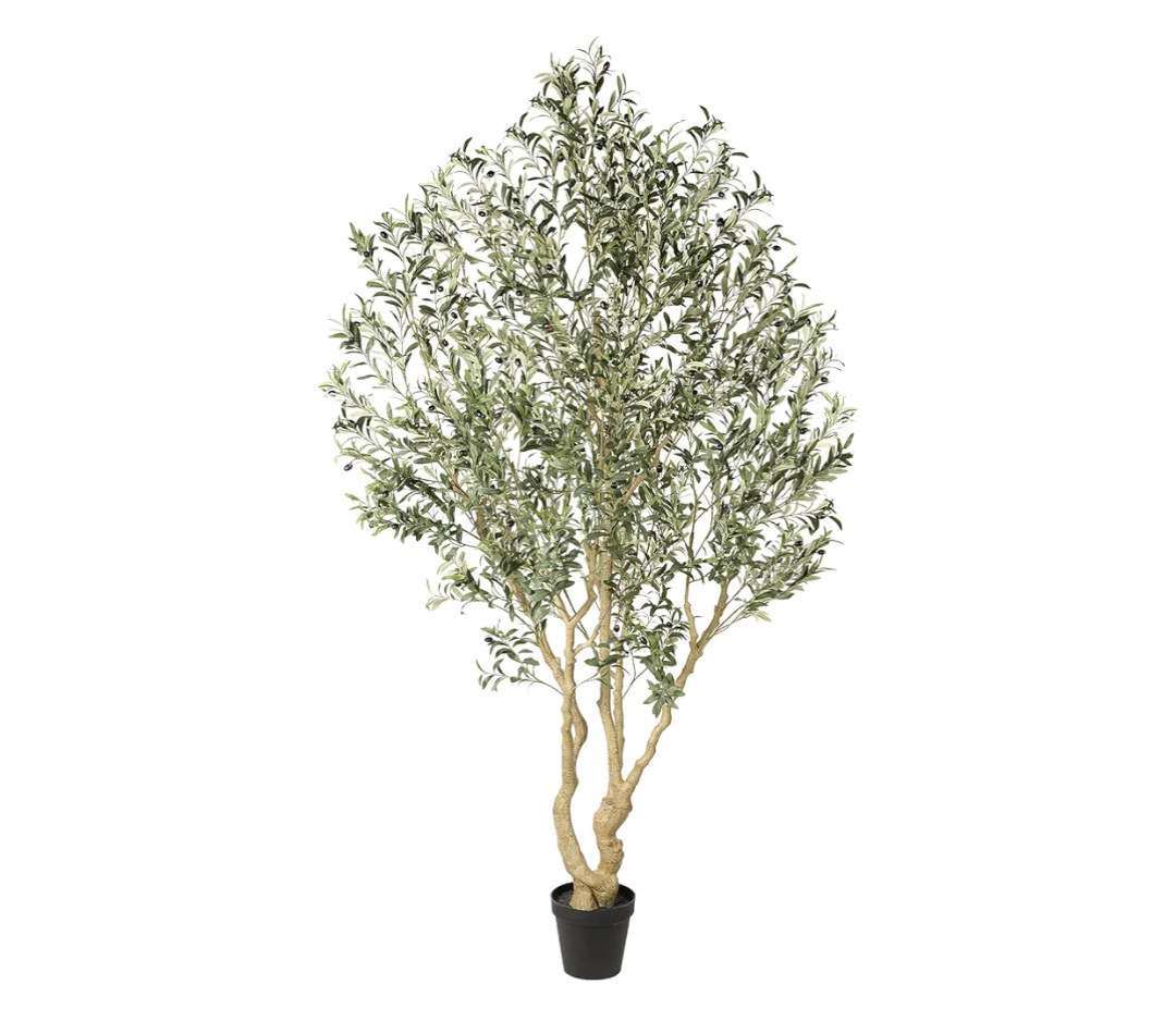 Realead Artificial Olive Tree 8ft - Large Faux Olive Tree with Realistic Leaves and Olives - Full and Grand Design Fake Olive Tree with Sturdy Base for Indoor Outdoor Office Decor