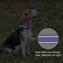 Reflective Dog Collar Padded with Soft Neoprene Breathable Quick Release Basic Dog Collars for Medium Dogs Purple Girl (M:width 3/4"neck 14-20.5")