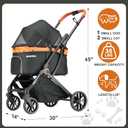Pet Stroller for Small Dogs & Cats Easy One-Hand Fold, Supports Up to 35 lbs Black