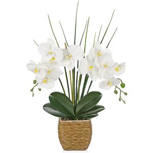 Hollyone 21.6" White Orchid Artificial Flowers Fake Orchid in Rattan Woven Vase Faux Orchids Phalaenopsis Arrangement in Pot for Office Table Centerpiece Shelf Wedding Indoor Outdoor Home Decor