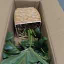 Briful Fake Plants Potted Monstera Artificial Plants Indoor Realistic Greenery Faux Plants in Square Plastic Rattan Baskets for Home Decor Farmhouse Office Weddings