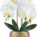 Large White Orchids Artificial Flowers with Gold Pot, 17"