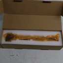 REVO 5048030AD Right Side Exhaust Camshaft Replacement for Dodge Durango Chrysler Pacifica Voyager Jeep Grand Cherokee/Wrangler Ram 1500 3.6L V6 2016-2024 Replace#5048030AA 5048030AB 5048030AC