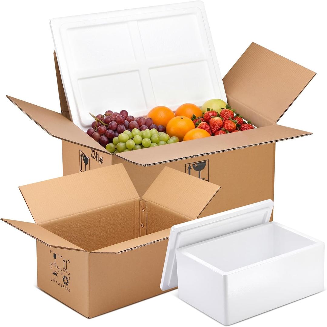 2 Pack Insulated Carton with Foam Shipper 19.3 x 13.4 x 10.2 inches, 16.5 x 10.6 x 7.9 inches Reusable Shipping Box with Foam Panels for Frozen Food Mailing Packing