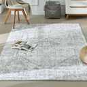 BRICHOEE Vintage Machine Washable Area Rug 5x7 Light Grey/Multi Low-Pile Indoor Floral Print Carpet Non Slip Printed Vintage Boho Rug for Living Room
