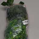 kathson 3 PCS Reptile Vines Plants Flexible Bendable Jungle Climbing Vine Terrarium Plastic Plant Leaves Pet Tank Habitat Decor for Bearded Dragons Lizards Geckos Snakes Frogs and More Reptiles