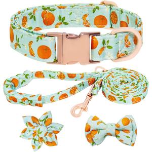 Dog Collar and Leash Set Girls Adjustable Puppy Collars with Fruit Bow Tie for Small Medium Large Female Dogs, Green Orange, L
