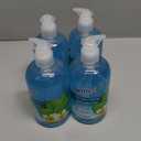 Germ-X Antibacterial Hand Soap, 12 Oz (Pack 4), Moisturizing Liquid Hand Wash for Kitchen or Bathroom, pH Balanced & Dermatologist Tested, Spring Rain Scent, Pump Bottle