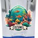 R and R Imports Cozumel Mexico Souvenir 2.5 Ounce Shot Glass Square Blue Base A
