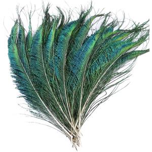 40 pcs Sowder Natural Peacock Feathers 10-15 Inches for Crafts Multicolored DIY Craft Hat and Vase Decoration Wedding Flower Arrangement and Home Decorations Christmas Tree Decoration