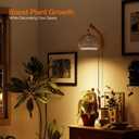 Bstrip Hanging Grow Lights for Indoor Plants, 18W Full Spectrum Plant Light, Boho Rattan Lantern Shade, 3800K Wall-Mounted Decorative Grow Light with 9.8FT Power Cord for Indoor Plant Growing, Flowers