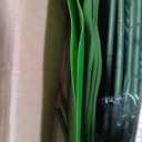 YEPDIN Artificial Bird of Paradise Plant 6 Ft Tall Fake Banana Leaf Plant for Indoors and Outdoors,Faux Palm Tree with Plastic Pot for Office and Home Decor,L180