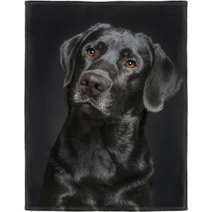 HommomH Black Lab Blanket, Gorgeous Labrador Dog Print, Soft Fluffy Fleece Throw 50"x60"