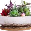 ARTKETTY Succulent Pots - 7.3 Inch Ceramic Bonsai Pot with Tray, Large Succulent Planters with Drainage, Shallow Planter for Indoor Cactus Plants Decorative Flower Plant Container Bowl (White)