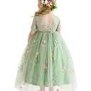 DeeFant Flower Girl Lace Back V-Neck Dress Full-Length Floral Embroidered Toddler Tutu Tulle Dresses for Girls 2-3Y