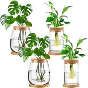 Layhit 3 Pcs Plants Propagation Stations vases Glass Planters with Wooden Lid and Bamboo Stand for Hydroponic Plants Gardening Gifts for Women Mom Home Office Tabletop Decoration(Classic Style)