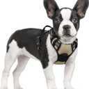 rabbitgoo Dog Harness No Pull with 2 Leash Clips, Adjustable Soft Padded, Reflective Oxford No Choke Pet Vest with Easy Control Handle for Small Dogs, Beige, S