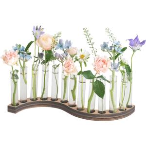 Test Tube Vases for FlowersSmall Plant Propagation StationS Shape Plant Terrarium with Wooden Stand(Amber)