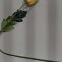 Premium Artificial Tulips Flowers, 10 Stems/Bouquet, Realistic Moist Touch, Perfect for Living Room Dining Table Decoration, Photo Prop, High-End Fake Flower Arrangement(Yellow)