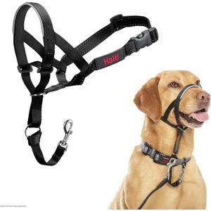 Halti Headcollar - Stop Your Dog Pulling on the Leash. Adjustable, Reflective and Lightweight, with Padded Nose Band. Dog Training Anti-Pull Collar for Dogs (Size 3, Black)