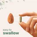 Micro Ingredients Resveratrol NAD Complex 3,000mg for Women & Men, 240 Veggie Capsules | NMN Supplement Alternative | 11-in-1 Blend with NAD+, Quercetin, Moringa, Berberine, Grape Seed, & Oregano