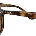 Ray-Ban RB4306 Hexagonal Sunglasses for Men for Women