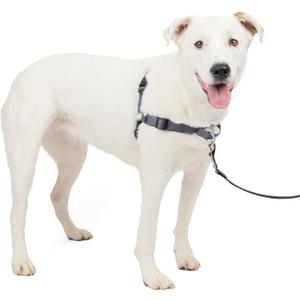PetSafe Easy Walk Deluxe Dog Harness, No Pull Dog Harness  Perfect for Leash & Harness Training  Stops Pets from Pulling and Choking on Walks  Medium/Large, Steel