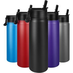 24 oz Insulated Water Bottle with Straw, Stainless Steel Double Wall Vacuum Thermos with Straw Lid Leak Proof, Wide Mouth Lid, Keep Cold and Hot (Black)