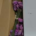 Letjolt Ranunculus Artificial Flower 18 Pcs Black Silk Ranunculus Wedding Bouquet Engagement Centerpieces Arrangements Bridal Shower Decorations Home Decor, Purple