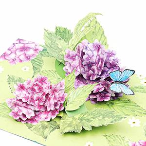 Liif Hydrangea Blossoms Butterfly 3D Greeting Pop Up Mother's Day Card, Spring, Summer, Anniversary, Fathers Day, Get Well, Thinking Of You,With Message Note & Envelop,Large Size 8x6 Inch Pack of 2