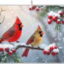 Winter Cardinal Birds Dish Drying Mat for Kitchen Countertop 16x18 Christmas Poinsettia Berry Snow Small Drying Mat Reusable Quick Dry Dish Sink Mats Easy Clean Decorative Essentials